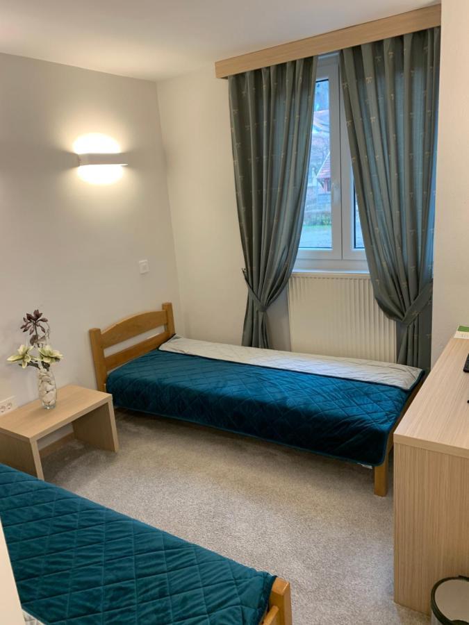 Vrnjačka Banja Garni Hotel Vir מראה חיצוני תמונה