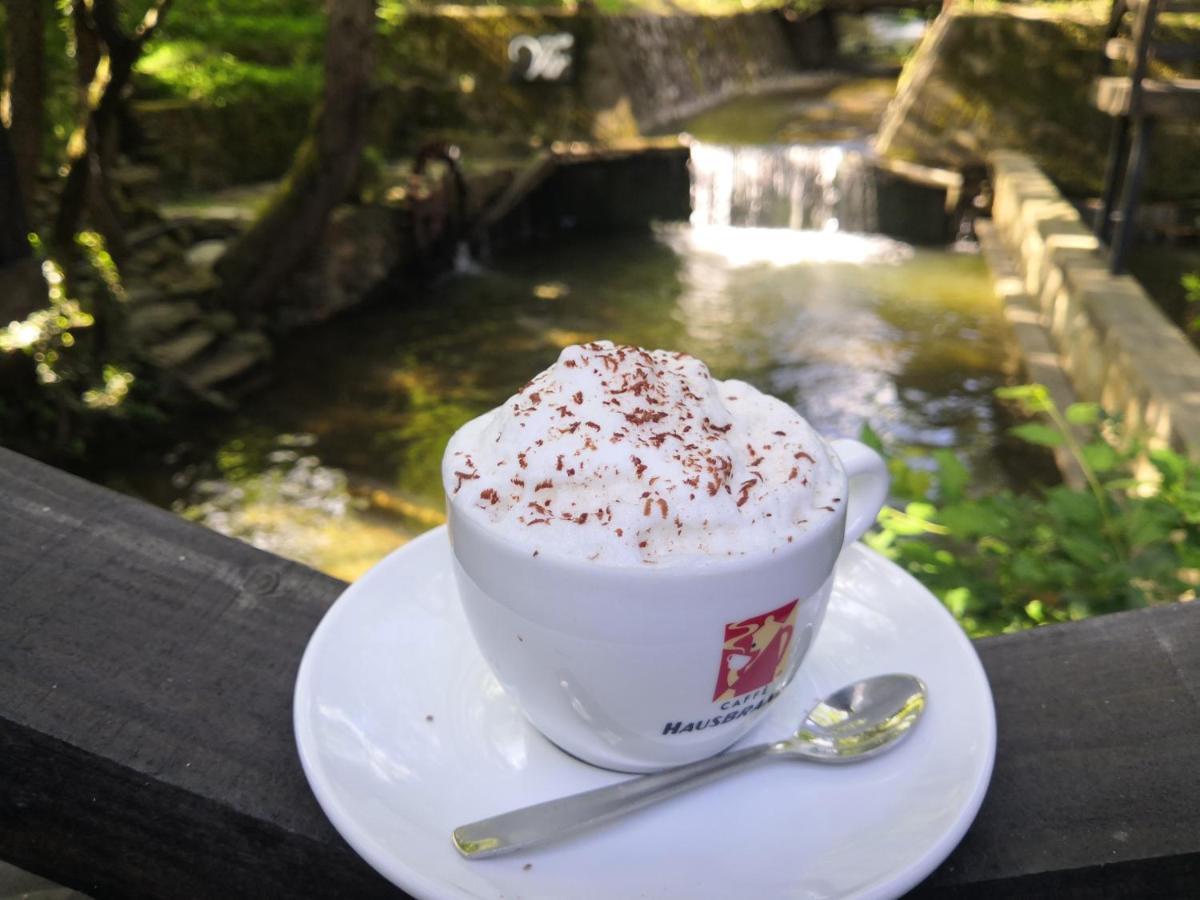 Vrnjačka Banja Garni Hotel Vir מראה חיצוני תמונה